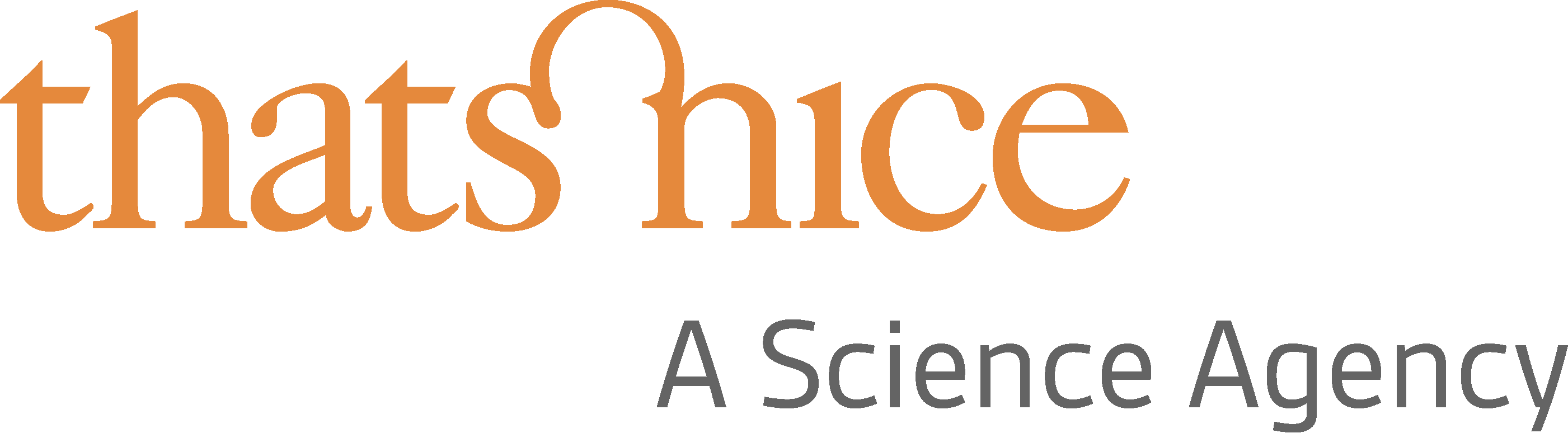 That's Nice Logo