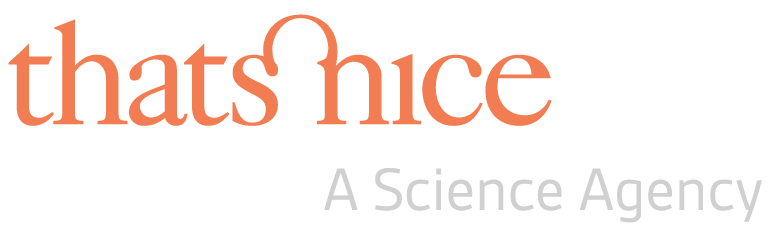 That's Nice Logo